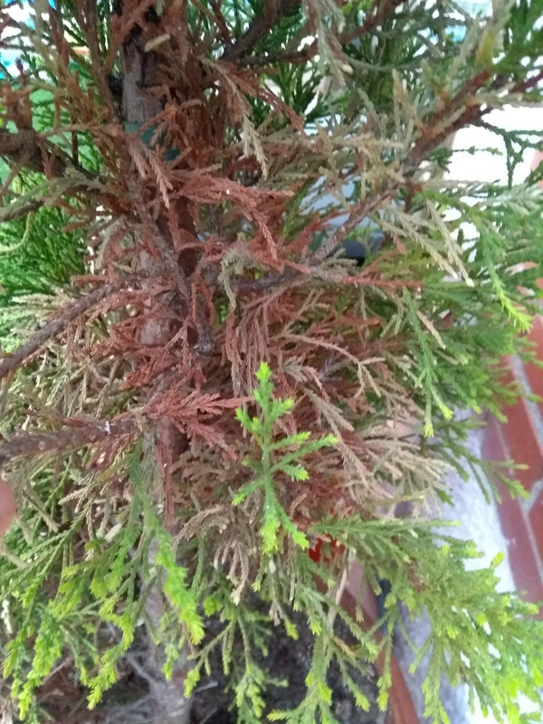 IMG-20190512-211013870.jpg