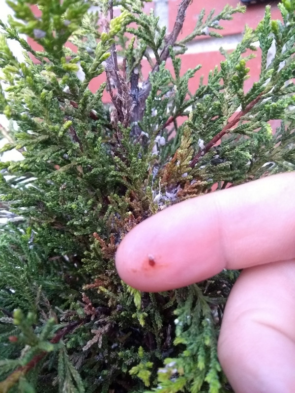 IMG-20190512-211258454.jpg