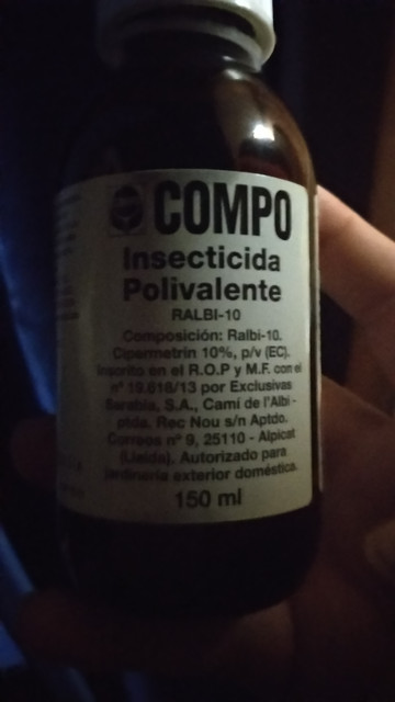 IMG-20190514-234626.jpg