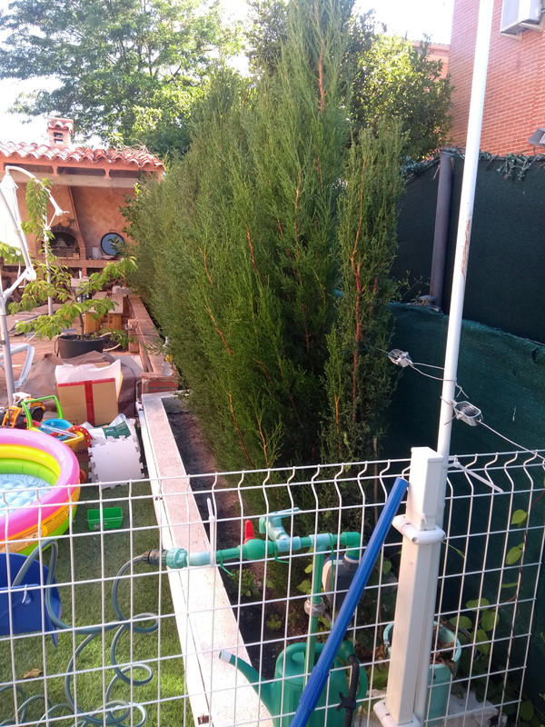 IMG-20190609-182907293.jpg
