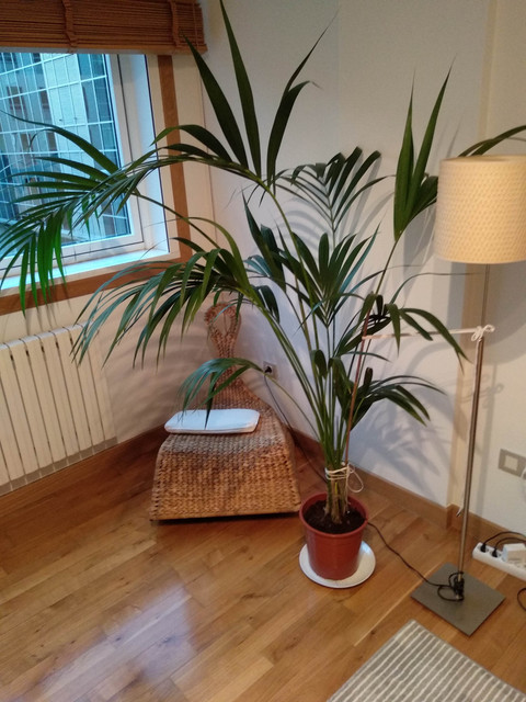 IMG-20190609-214205.jpg