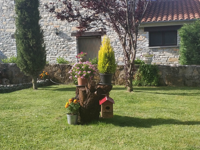 IMG-20190622-095827.jpg