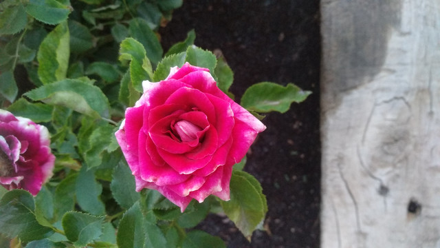 IMG-20190628-213900.jpg