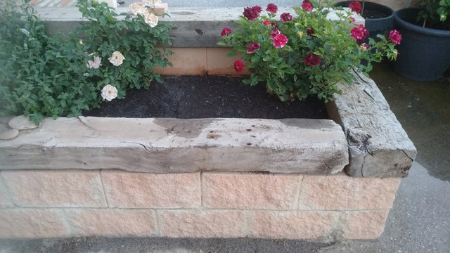 IMG-20190628-213957.jpg