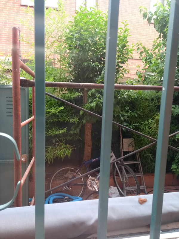 IMG-20190712-193617219.jpg