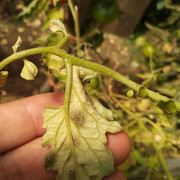 IMG-20190723-155556.jpg