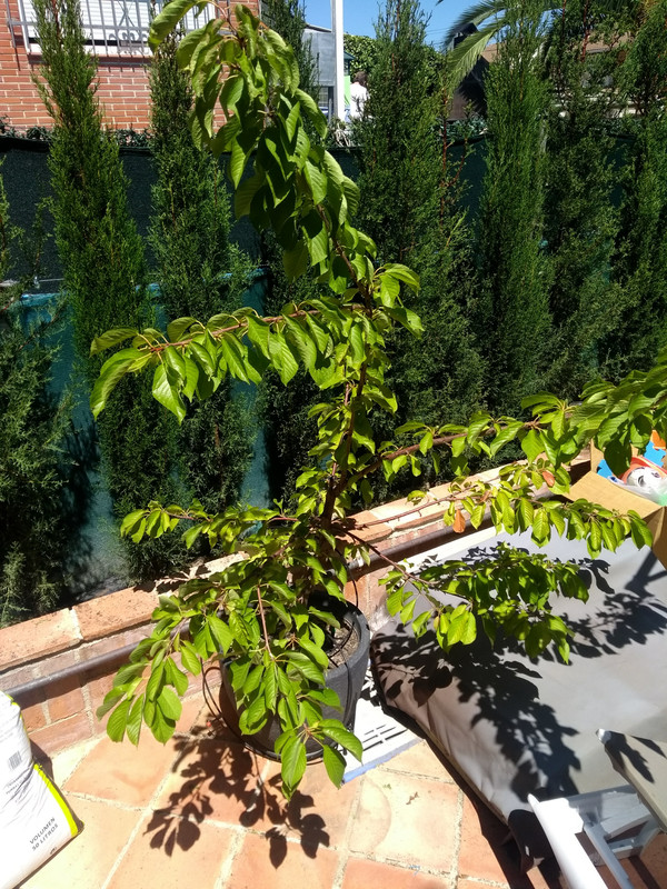IMG-20190728-132254378.jpg