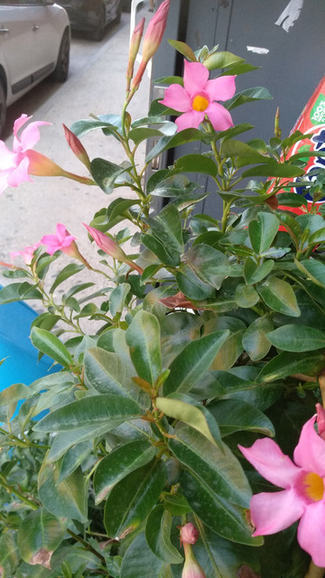IMG-20190805-202417.jpg