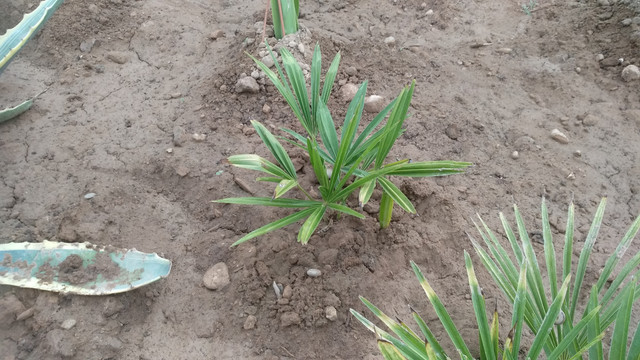 IMG-20190807-202944.jpg