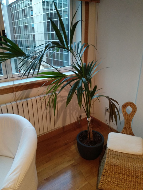 IMG-20190812-211906.jpg