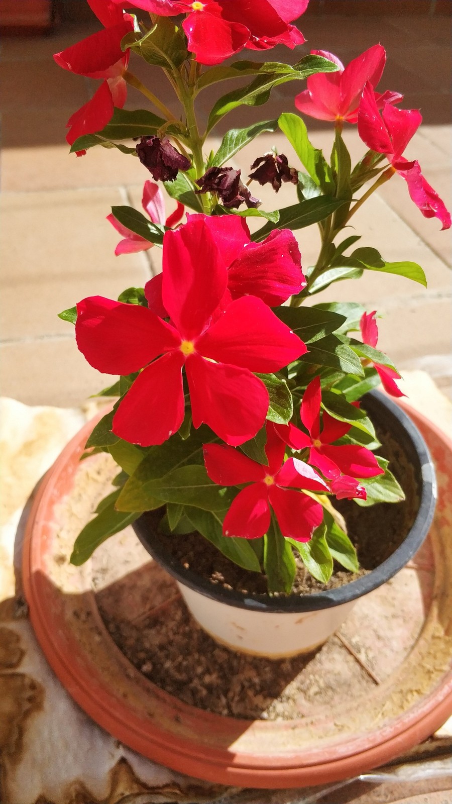 IMG-20190818-110710.jpg