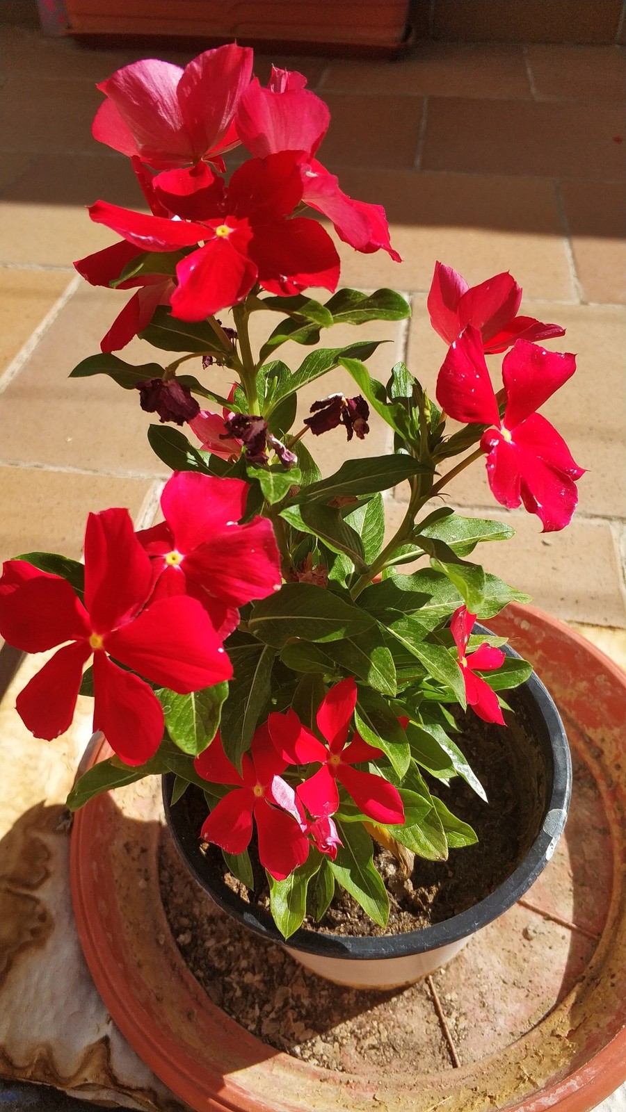 IMG-20190818-110720.jpg