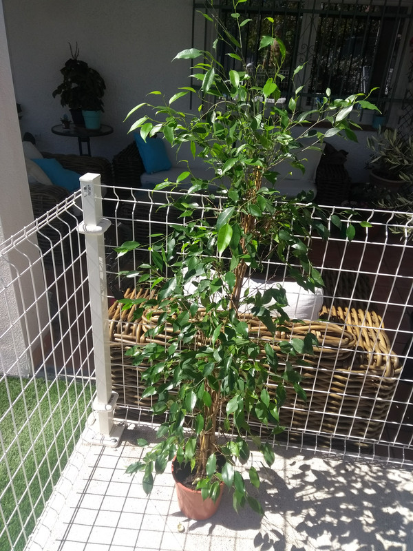 IMG-20190818-121608493.jpg