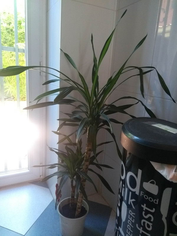 IMG-20190818-121905568.jpg
