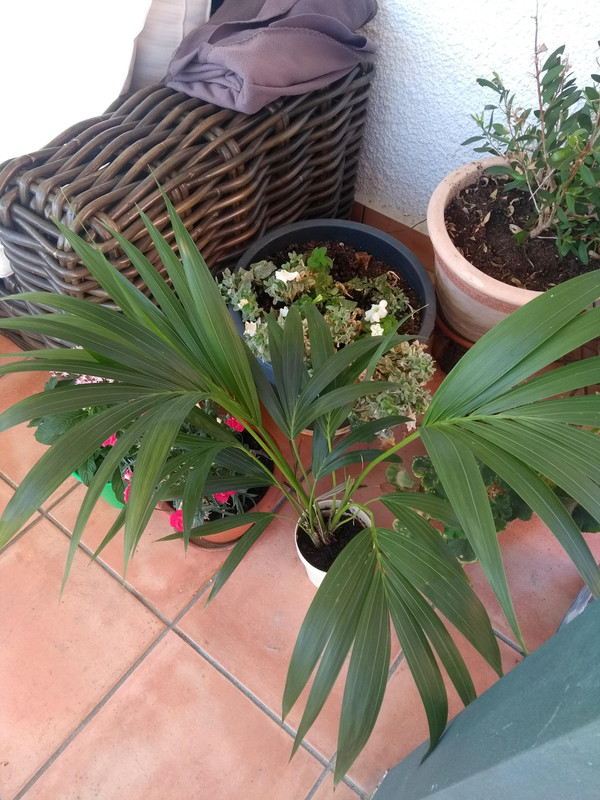 IMG-20190818-121957756.jpg