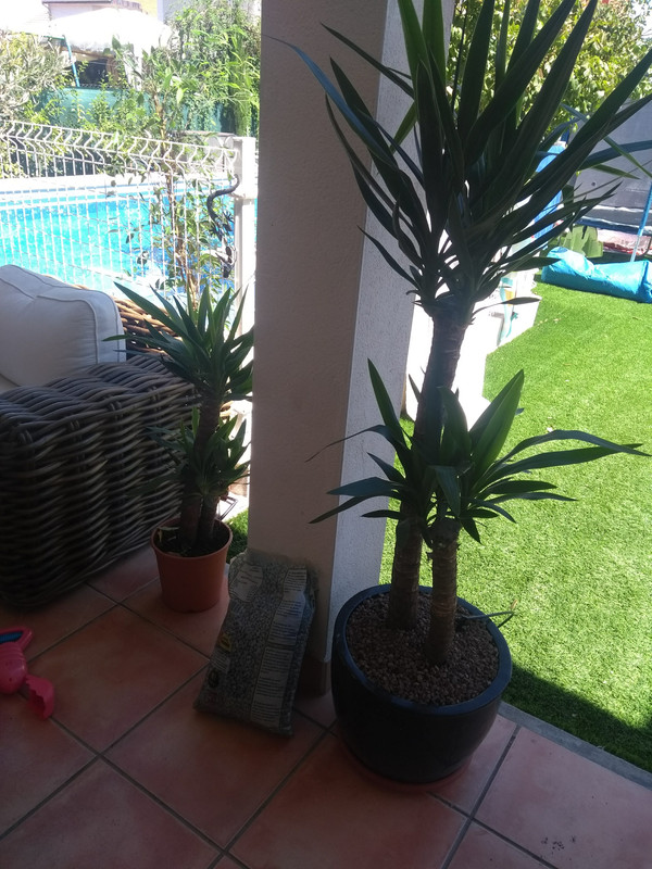 IMG-20190818-124251290.jpg