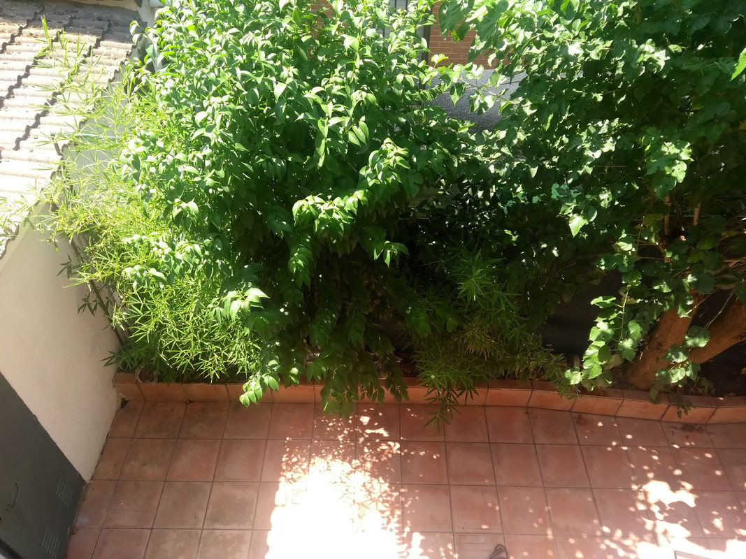 IMG-20190825-131106001-1.jpg