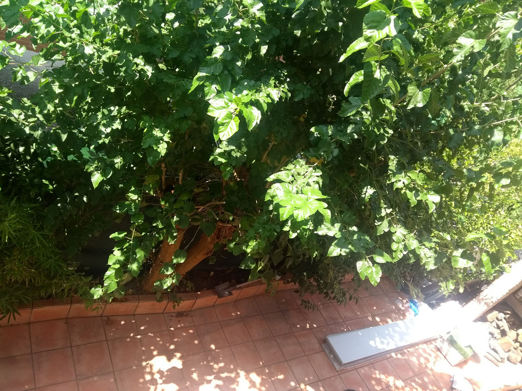 IMG-20190825-131110817.jpg