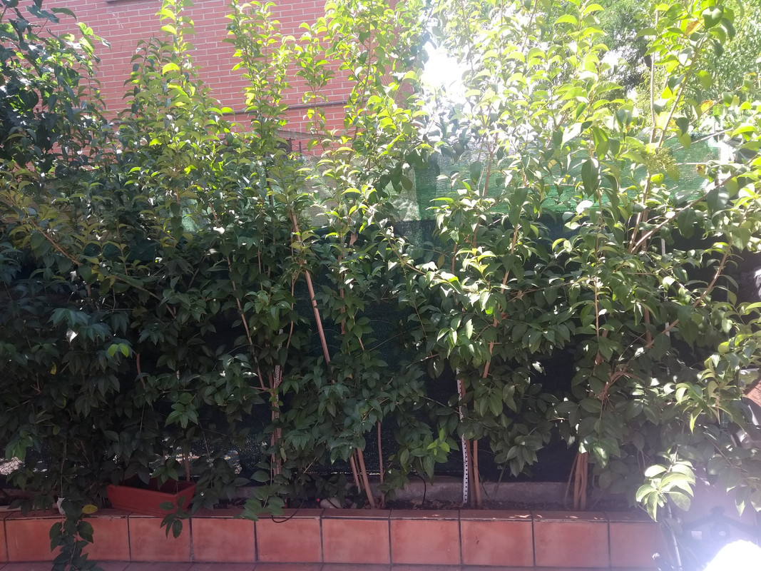 IMG-20190825-131301303.jpg