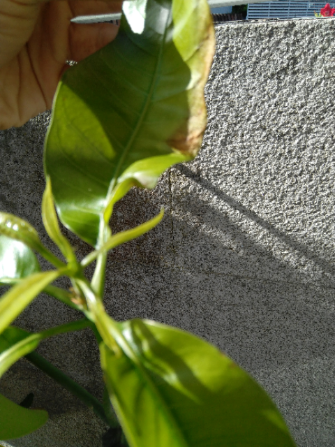 IMG-20190908-111310.png