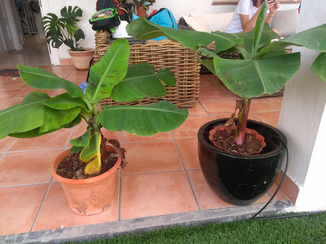 IMG-20190909-173307664.jpg
