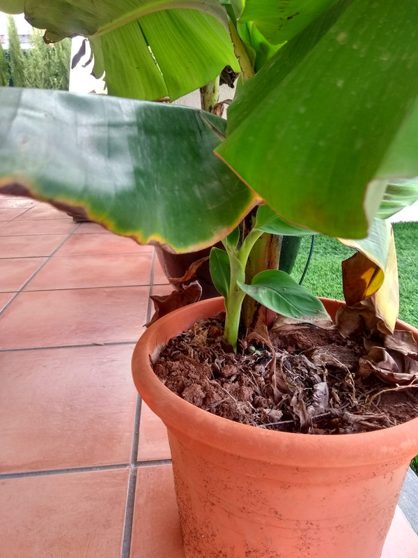 IMG-20190909-173412984-HDR.jpg