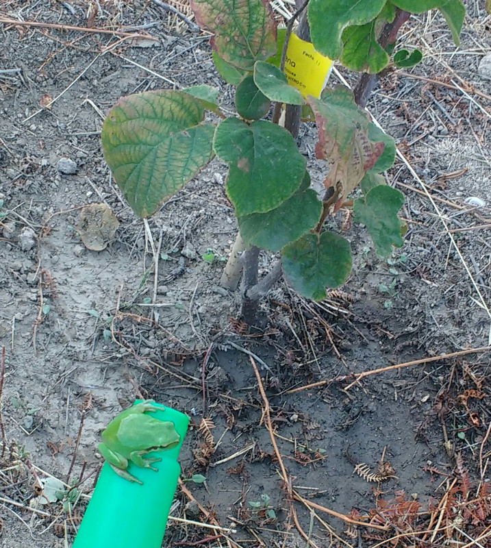 IMG-20190913-131452.jpg