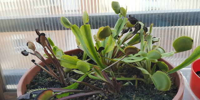 IMG-20190916-183554.jpg