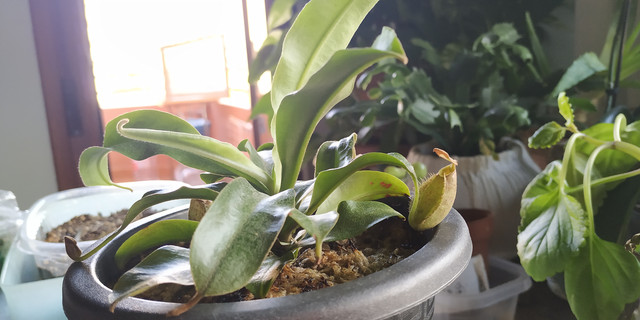 IMG-20190916-183924.jpg