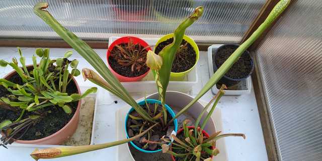 IMG-20190916-184208.jpg