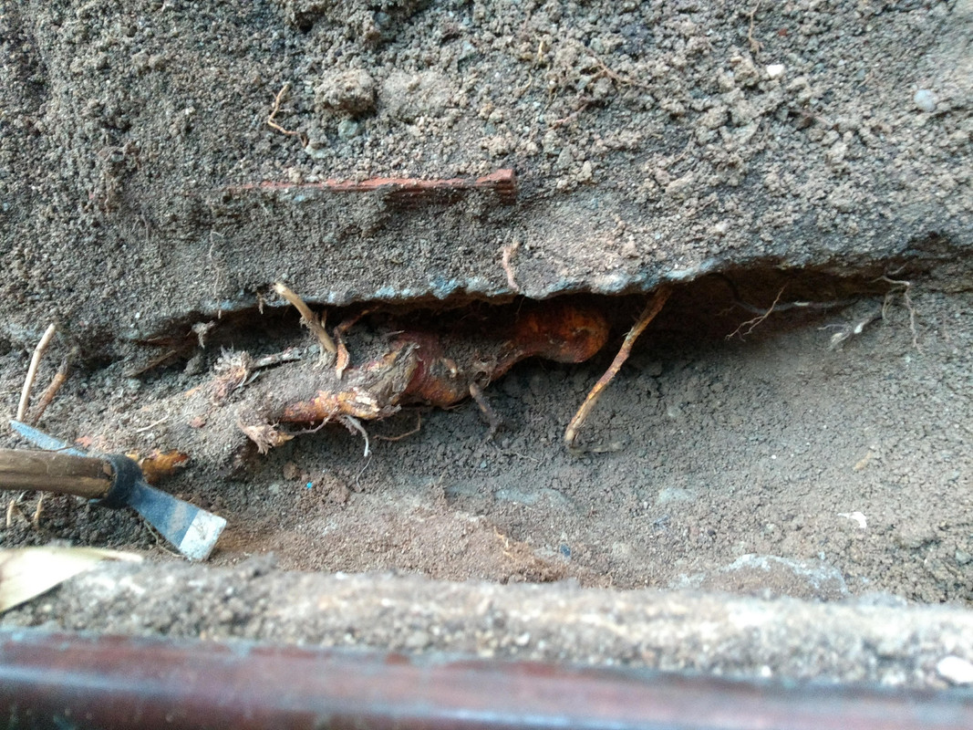IMG-20190916-195641722.jpg