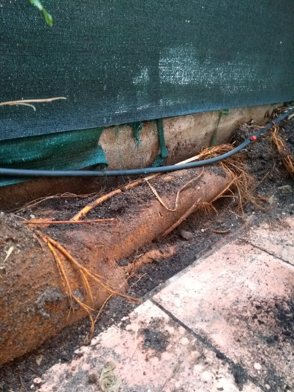 IMG-20190916-195741274.jpg