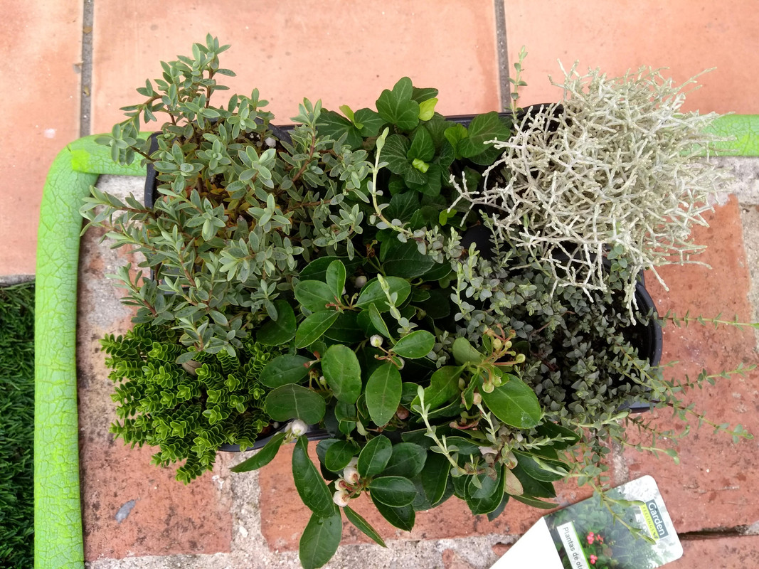 IMG-20190921-133328533.jpg