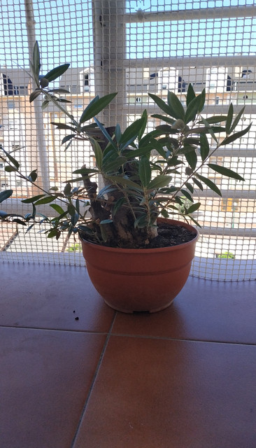 IMG-20190922-140711.jpg