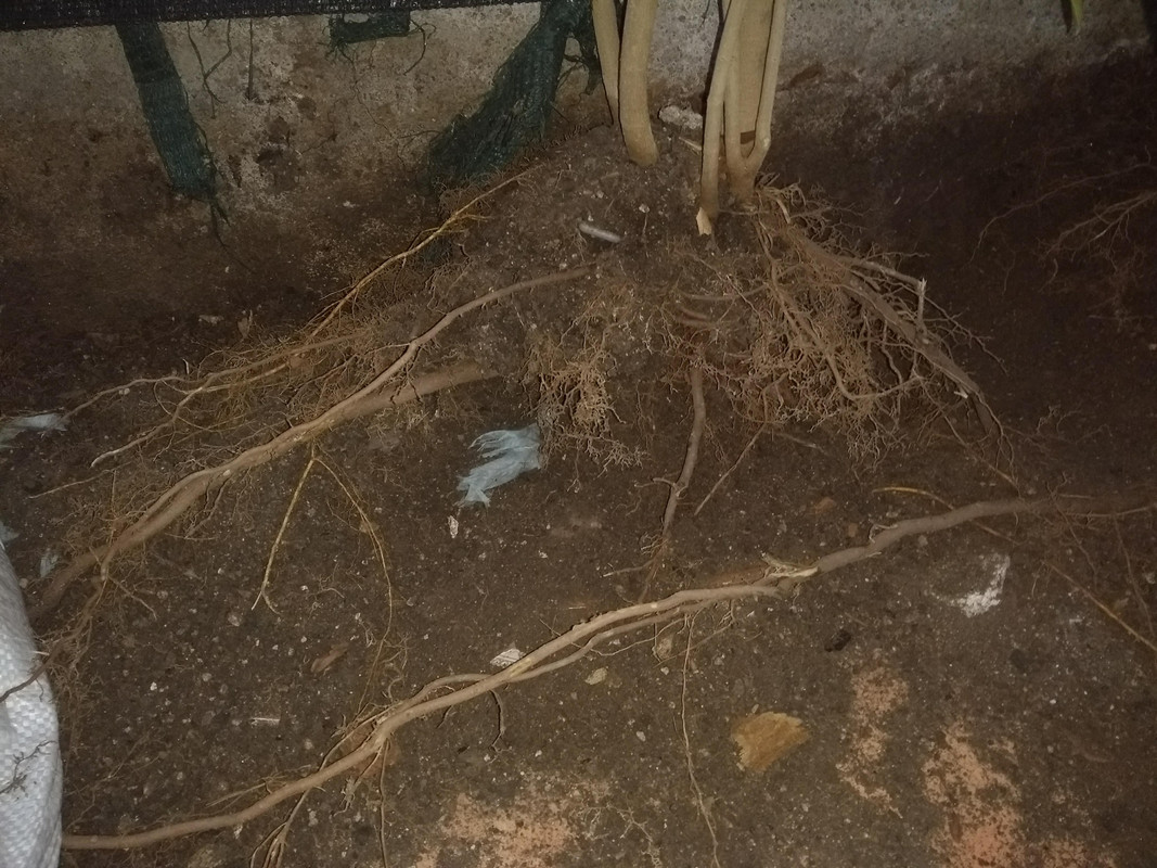 IMG-20190927-200620903.jpg