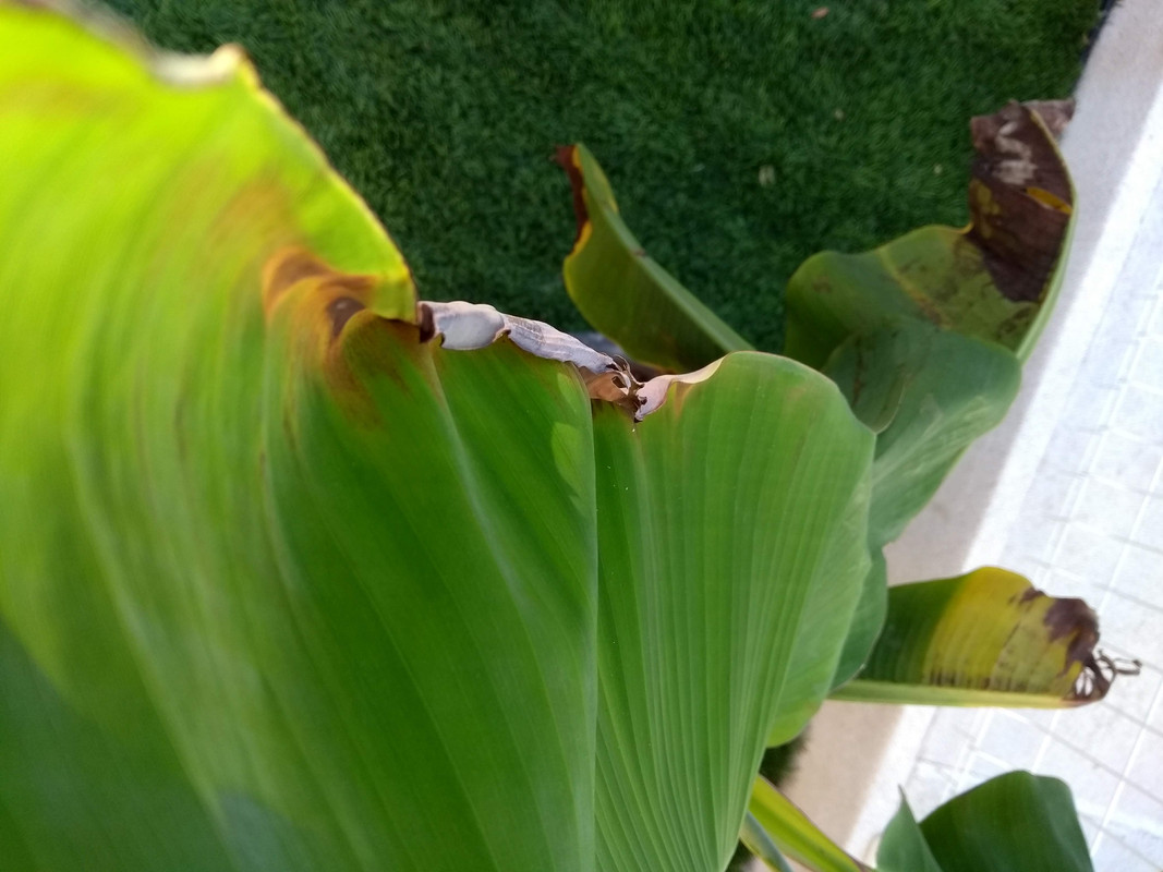 IMG-20190929-180835907.jpg