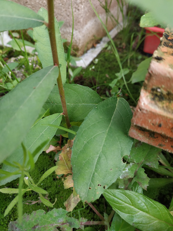IMG-20191006-115338.jpg