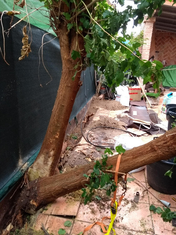 IMG-20191020-141749675.jpg