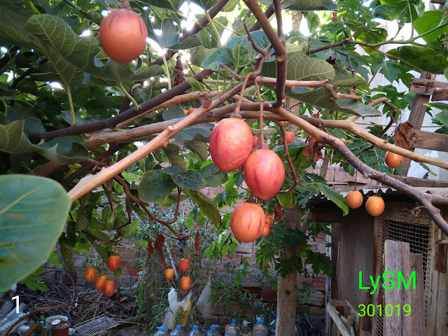 IMG-20191030-WA0004.jpg