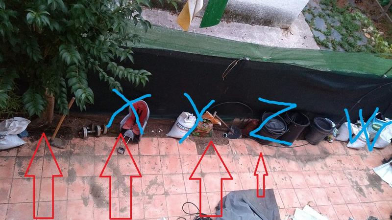 IMG-20191119-180118212.jpg