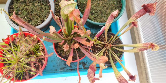 IMG-20191120-140343.jpg