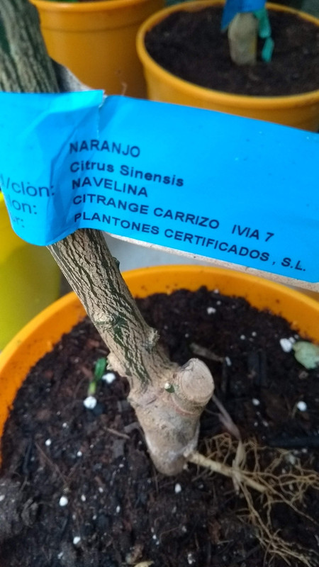 IMG-20191120-145212362.jpg