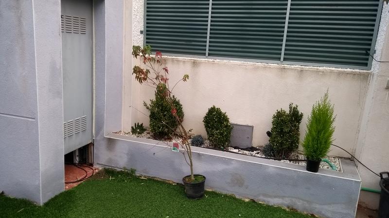 IMG-20191130-091226905.jpg