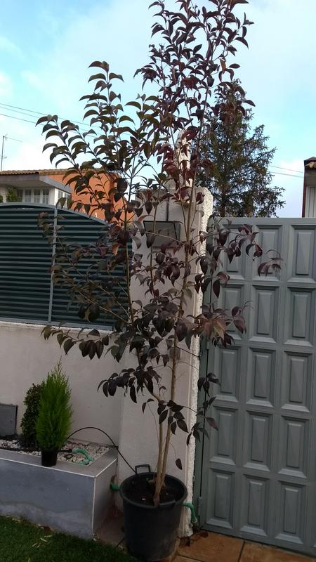 IMG-20191130-092213755.jpg