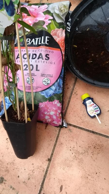IMG-20191130-152251696.jpg