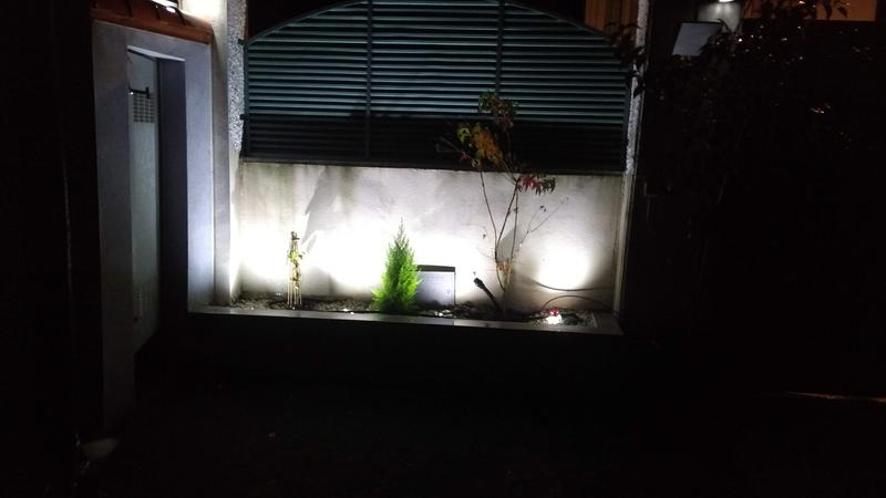 IMG-20191201-184714434.jpg