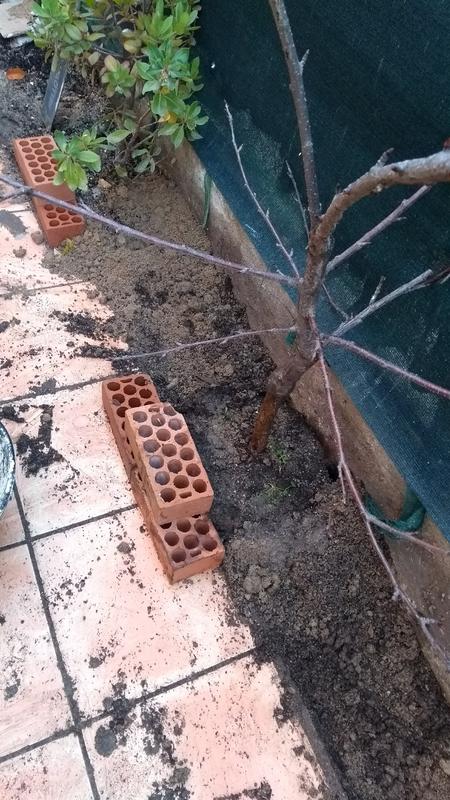 IMG-20191206-160421048.jpg