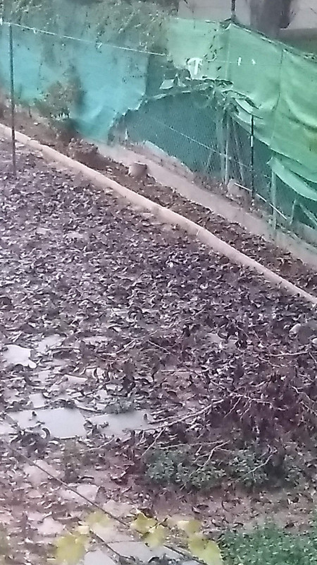IMG-20191215-174922152.jpg