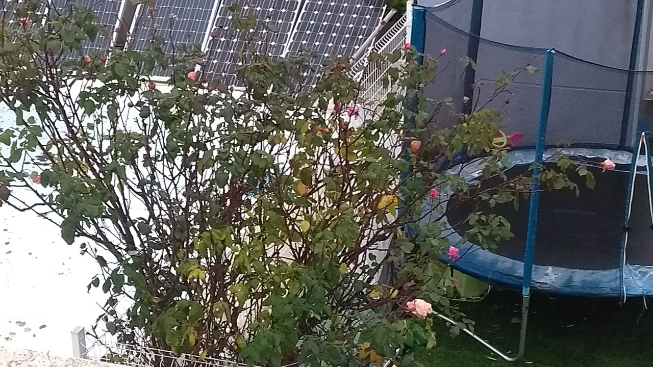 IMG-20191220-170048794-1.jpg