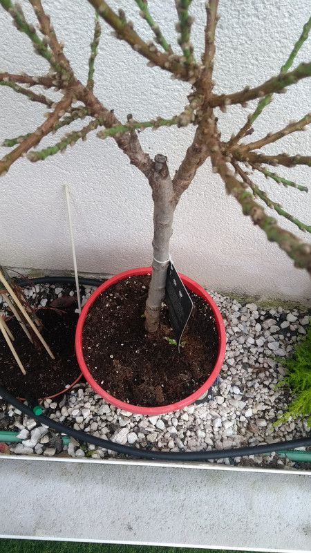 IMG-20191222-124437192.jpg